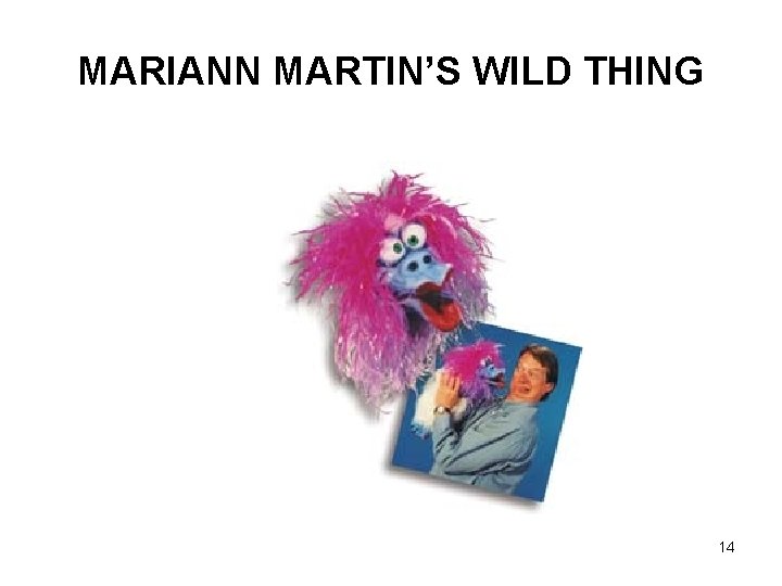 MARIANN MARTIN’S WILD THING 14 