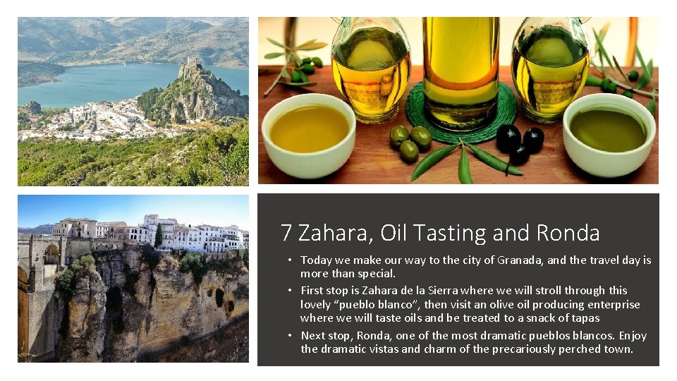 Zahara de la Sierra, Oil Tasting, and Ronda 7 Zahara, Oil Tasting and Ronda