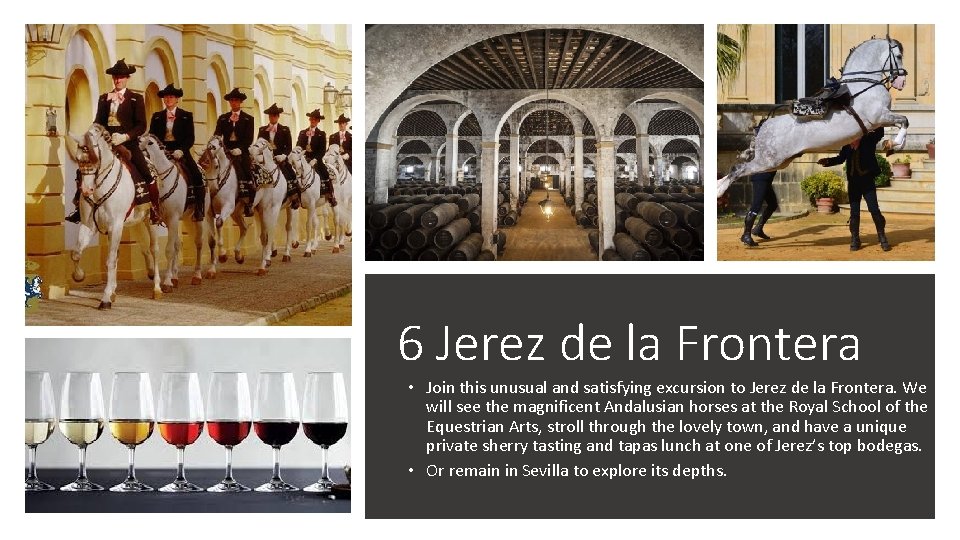 Jerez de la Frontera: Sherry, History, and Andalusian Horses 6 Jerez de la Frontera