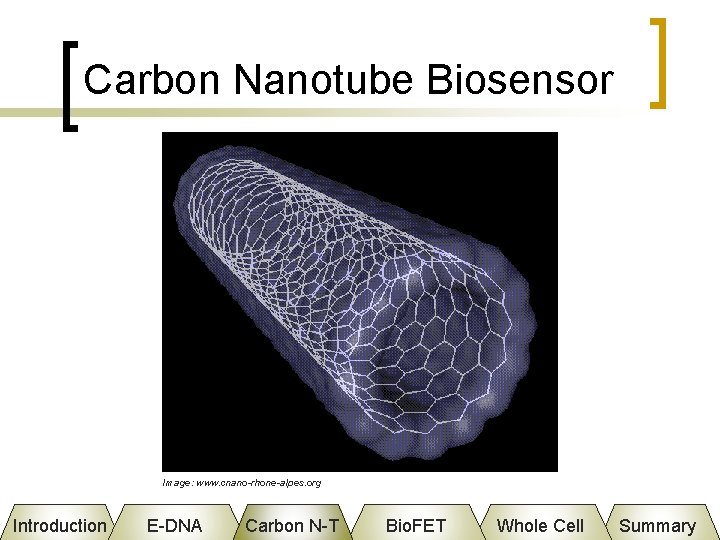 Carbon Nanotube Biosensor Image: www. cnano-rhone-alpes. org Introduction E-DNA Carbon N-T Bio. FET Whole