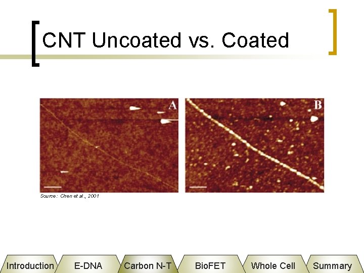 CNT Uncoated vs. Coated Source: Chen et al. , 2001 Introduction E-DNA Carbon N-T