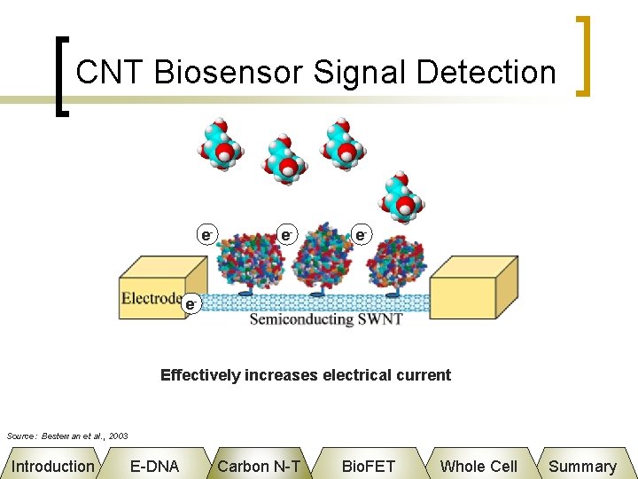 CNT Biosensor Signal Detection e- e- Effectively increases electrical current Source: Besteman et al.