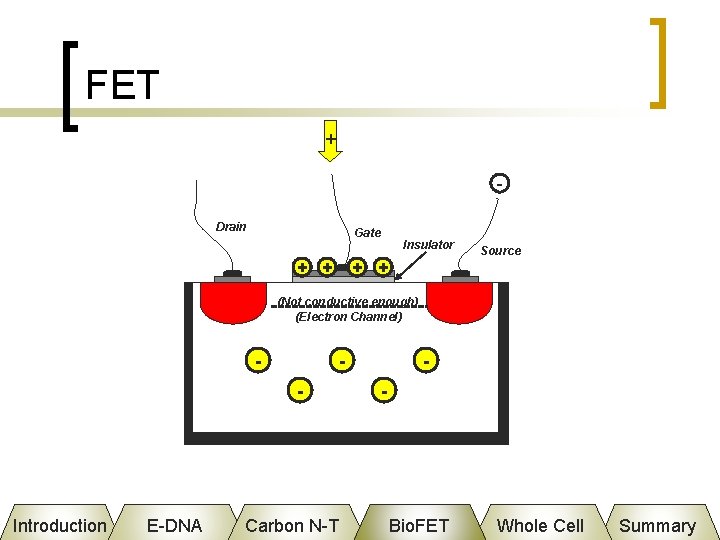 FET + Drain Gate + + Insulator + + Source (Not conductive enough) (Electron