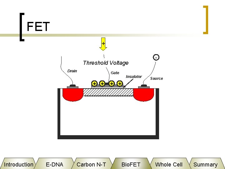 FET + Threshold Voltage Drain Gate + + Introduction E-DNA Carbon N-T Insulator +