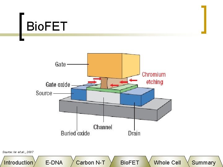 Bio. FET Source: Im et al. , 2007 Introduction E-DNA Carbon N-T Bio. FET