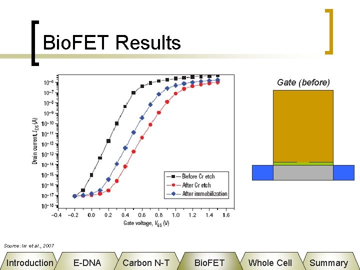 Bio. FET Results Gate (before) Source: Im et al. , 2007 Introduction E-DNA Carbon