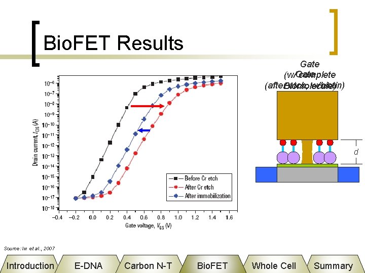 Bio. FET Results Gate (w/Gate complete (after. Biomolecule) etch, w/biotin) d Source: Im et