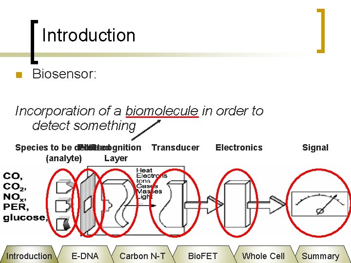 Introduction n Biosensor: Incorporation of a biomolecule in order to detect something Species to