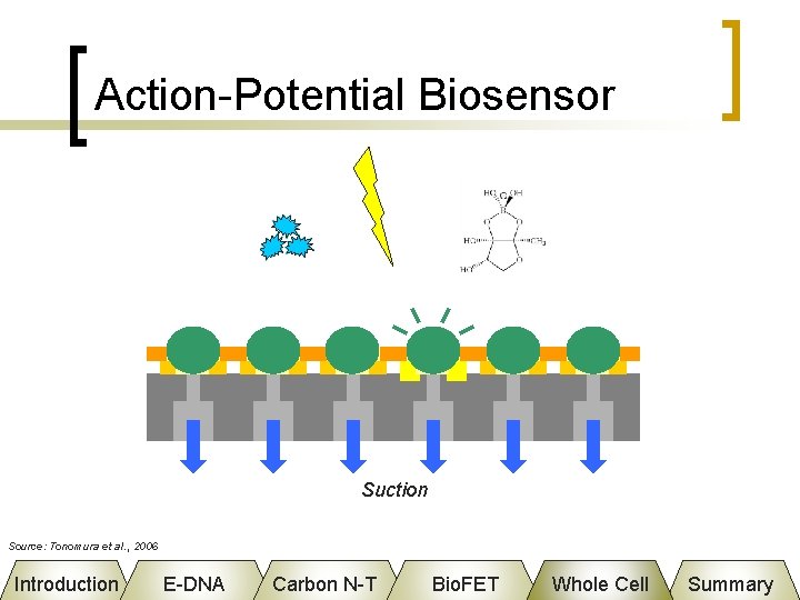 Action-Potential Biosensor Suction Source: Tonomura et al. , 2006 Introduction E-DNA Carbon N-T Bio.