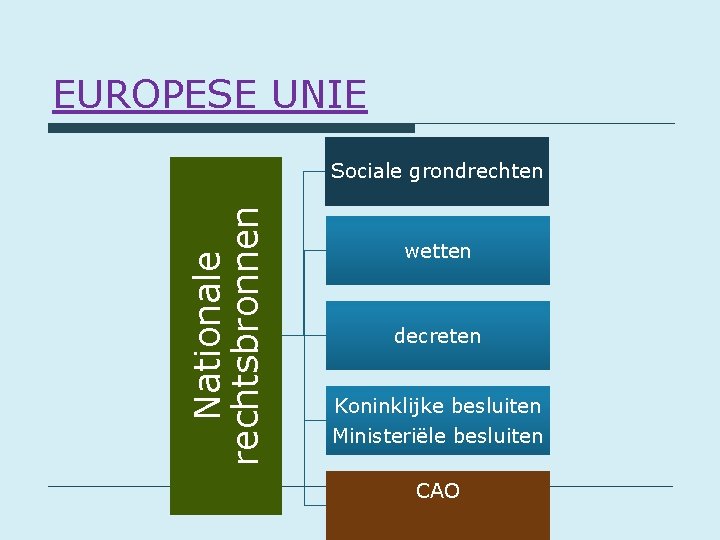 EUROPESE UNIE Nationale rechtsbronnen Sociale grondrechten wetten decreten Koninklijke besluiten Ministeriële besluiten CAO 