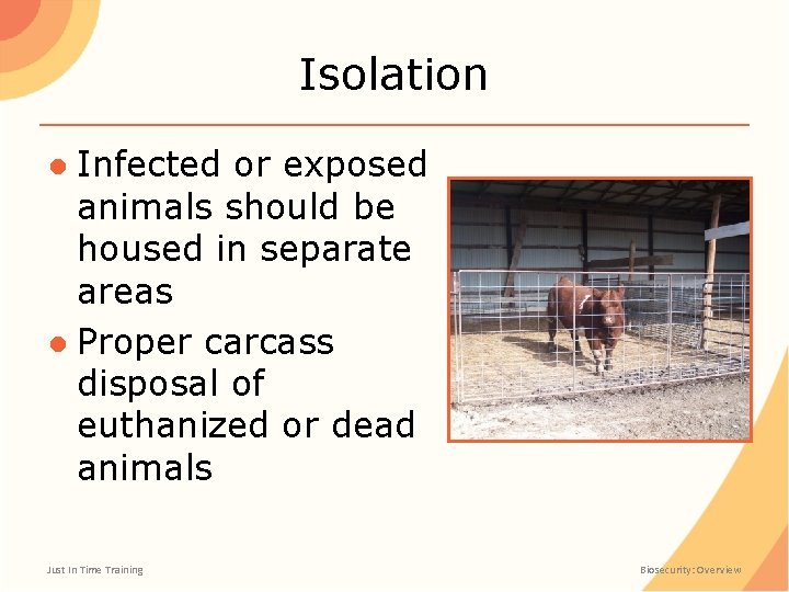 Isolation ● Infected or exposed animals should be housed in separate areas ● Proper