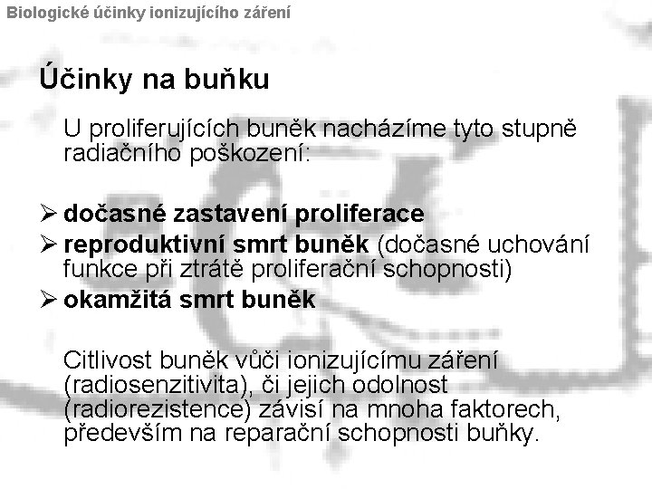 Biologické účinky ionizujícího záření Účinky na buňku U proliferujících buněk nacházíme tyto stupně radiačního