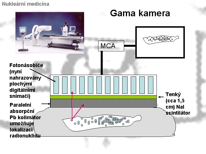 Nukleární medicína Gama kamera MCA Fotonásobiče (nyní nahrazovány plochými digitálními snímači) Paralelní absorpční Pb