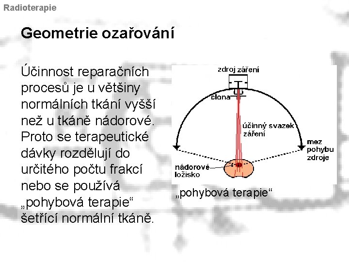 Radioterapie Geometrie ozařování Účinnost reparačních procesů je u většiny normálních tkání vyšší než u