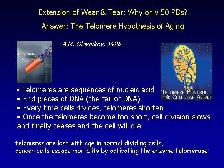 Extension of Wear & Tear: Why only 50 PDs? Answer: The Telomere Hypothesis of