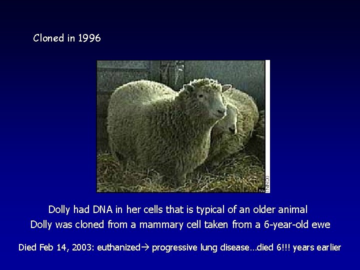 Cloned in 1996 Dolly had DNA in her cells that is typical of an