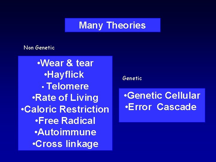 Many Theories Non Genetic • Wear & tear • Hayflick • Telomere • Rate