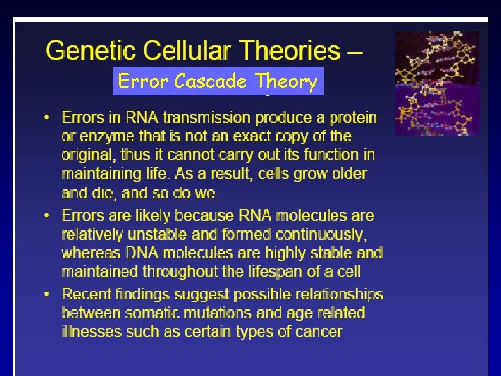 Error Cascade Theory 