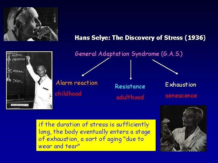 Hans Selye: The Discovery of Stress (1936) General Adaptation Syndrome (G. A. S. )