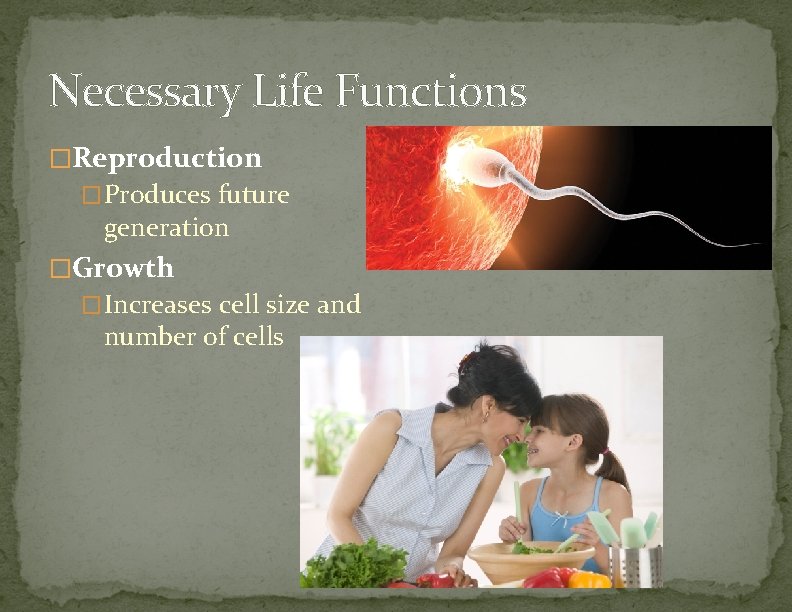 Necessary Life Functions �Reproduction �Produces future generation �Growth �Increases cell size and number of