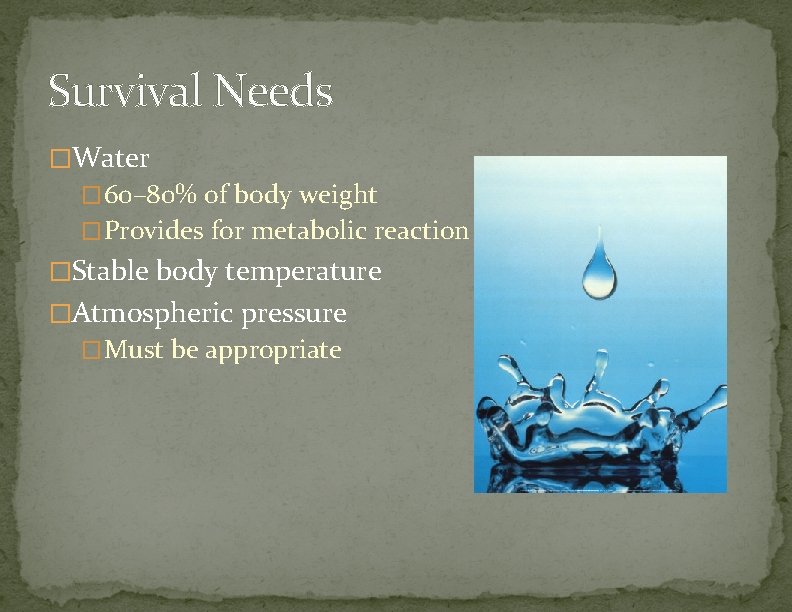 Survival Needs �Water � 60– 80% of body weight �Provides for metabolic reaction �Stable