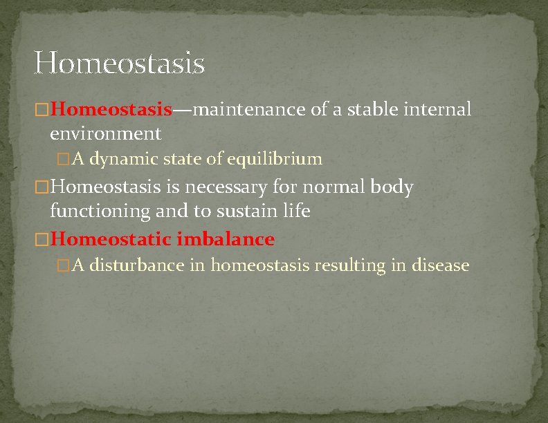 Homeostasis �Homeostasis—maintenance of a stable internal environment �A dynamic state of equilibrium �Homeostasis is
