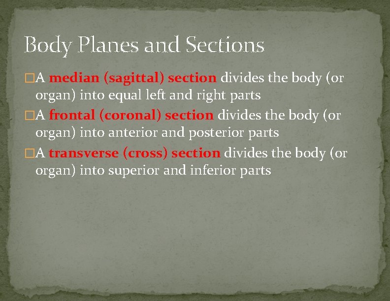 Body Planes and Sections �A median (sagittal) section divides the body (or organ) into