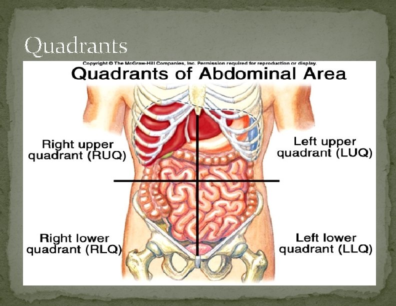 Quadrants 