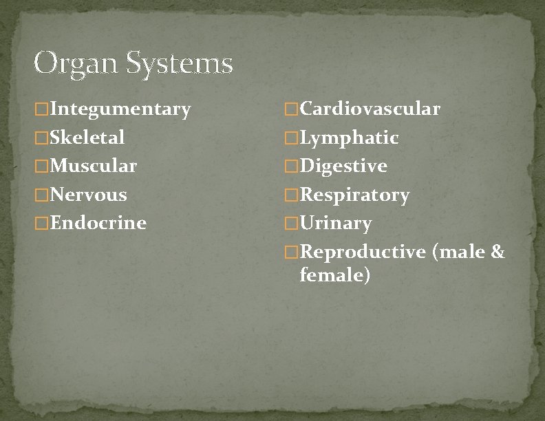 Organ Systems �Integumentary �Cardiovascular �Skeletal �Lymphatic �Muscular �Digestive �Nervous �Respiratory �Endocrine �Urinary �Reproductive (male