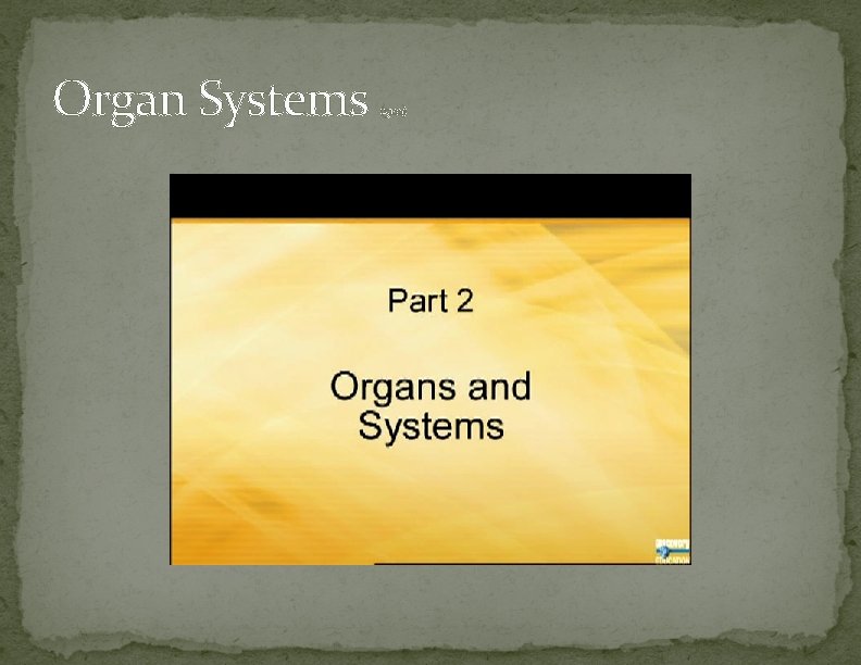 Organ Systems (5: 00) 