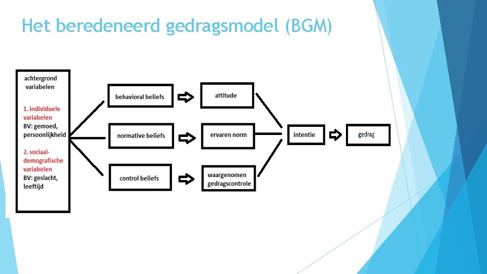 Het beredeneerd gedragsmodel (BGM) 