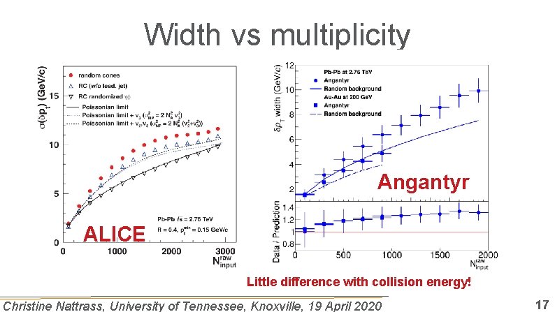 Width vs multiplicity Angantyr ALICE Little difference with collision energy! Christine Nattrass, University of