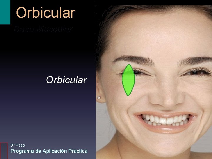 Orbicular Base Muscular Orbicular 3º Paso Programa de Aplicación Práctica 