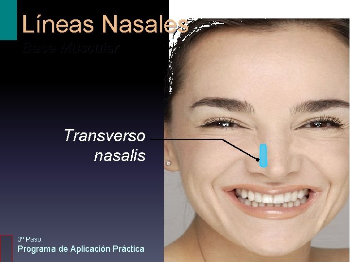 Líneas Nasales Base Muscular Transverso nasalis 3º Paso Programa de Aplicación Práctica 