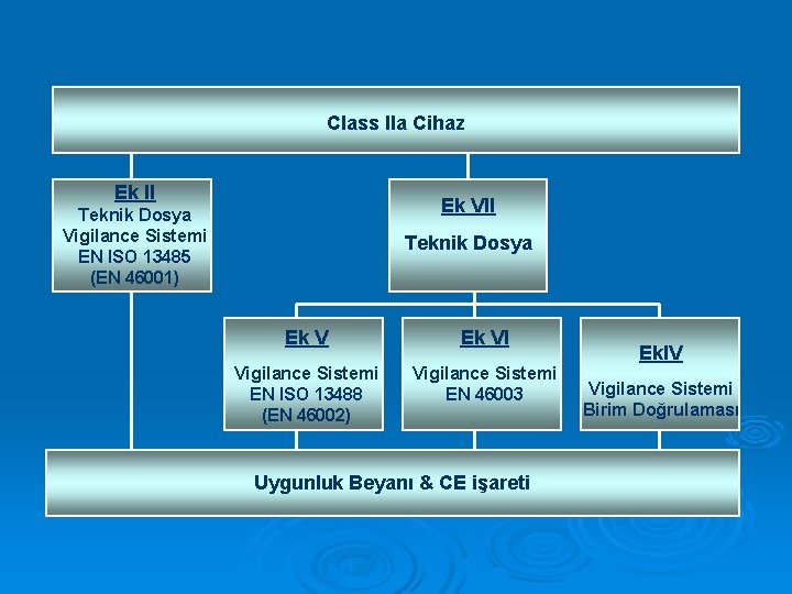 Class IIa Cihaz Ek II Ek VII Teknik Dosya Vigilance Sistemi EN ISO 13485