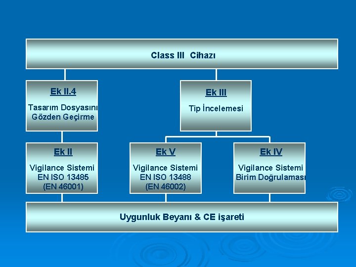 Class III Cihazı Ek II. 4 Ek III Tasarım Dosyasını Gözden Geçirme Tip İncelemesi