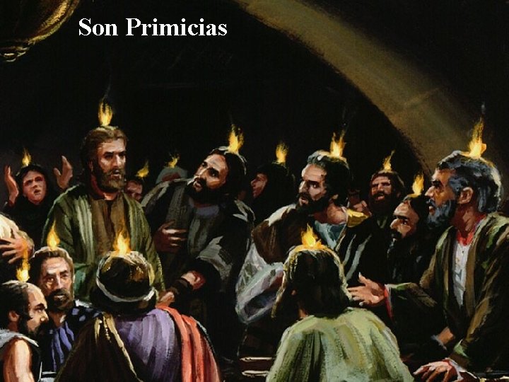 Son Primicias 