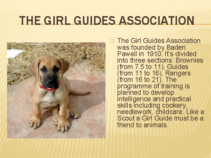 THE GIRL GUIDES ASSOCIATION � The Girl Guides Association was founded by Baden Pawell
