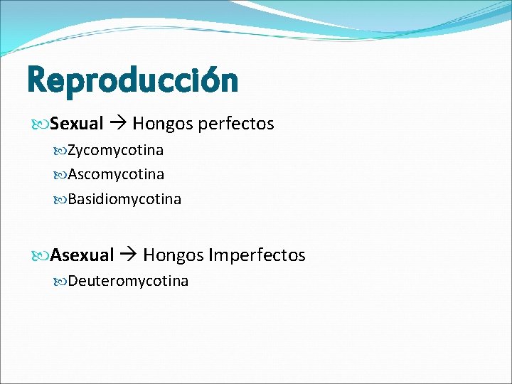 Reproducción Sexual Hongos perfectos Zycomycotina Ascomycotina Basidiomycotina Asexual Hongos Imperfectos Deuteromycotina 