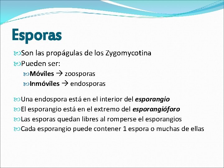 Esporas Son las propágulas de los Zygomycotina Pueden ser: Móviles zoosporas Inmóviles endosporas Una