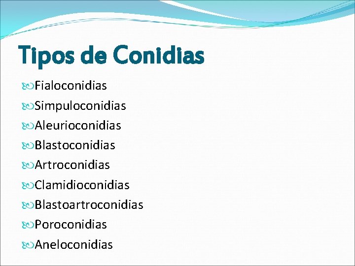 Tipos de Conidias Fialoconidias Simpuloconidias Aleurioconidias Blastoconidias Artroconidias Clamidioconidias Blastoartroconidias Poroconidias Aneloconidias 