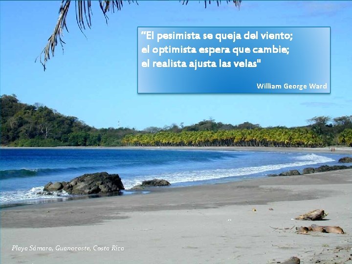 “El pesimista se queja del viento; el optimista espera que cambie; el realista ajusta