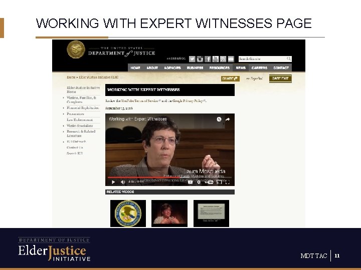 WORKING WITH EXPERT WITNESSES PAGE MDT TAC 11 