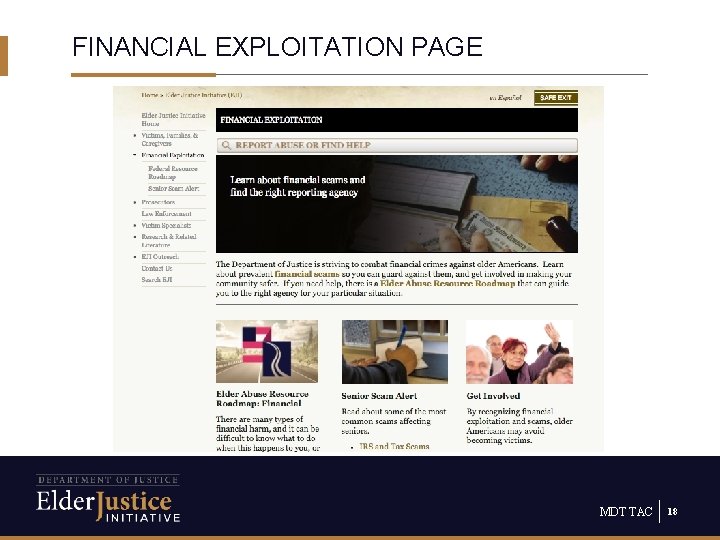 FINANCIAL EXPLOITATION PAGE MDT TAC 18 