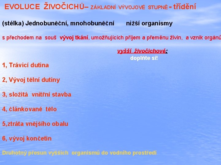  EVOLUCE ŽIVOČICHŮ– ZÁKLADNÍ VÝVOJOVÉ STUPNĚ = třídění (stélka) Jednobuněční, mnohobuněční nižší organismy s