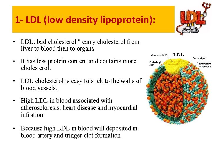 1 - LDL (low density lipoprotein): • LDL: bad cholesterol " carry cholesterol from