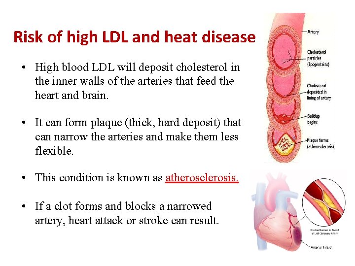 Risk of high LDL and heat disease • High blood LDL will deposit cholesterol
