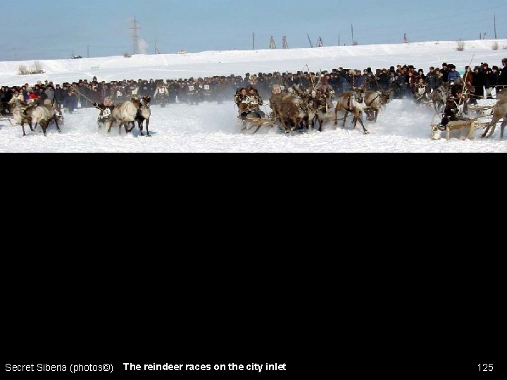 Secret Siberia (photos©) The reindeer races on the city inlet 125 