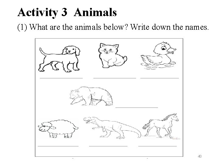 Activity 3 Animals (1) What are the animals below? Write down the names. Supervisors: