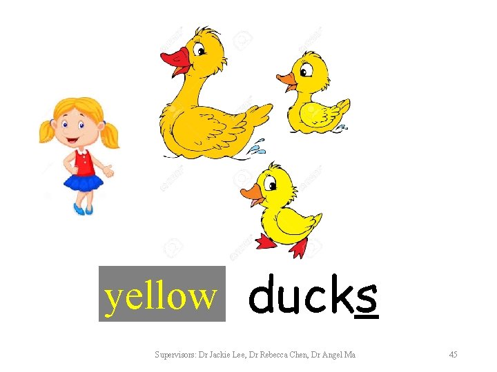 yellow ducks Supervisors: Dr Jackie Lee, Dr Rebecca Chen, Dr Angel Ma 45 